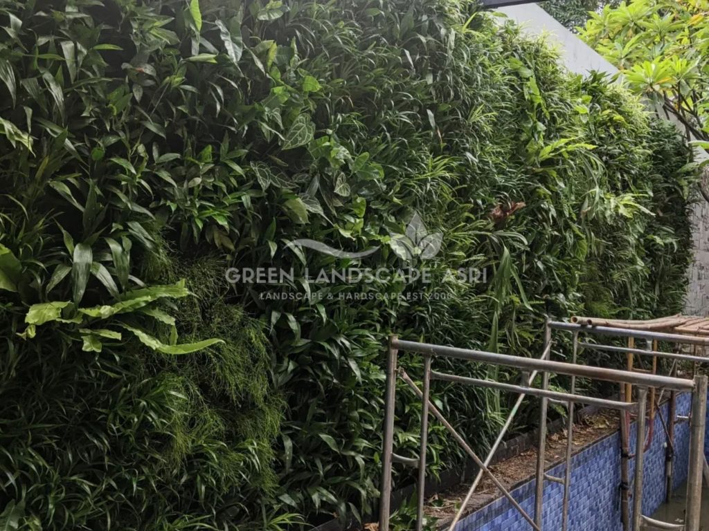 Harga Pasang Taman Vertikal