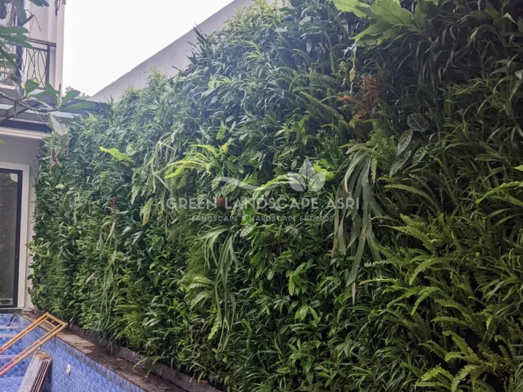 Harga Pasang Taman Vertikal