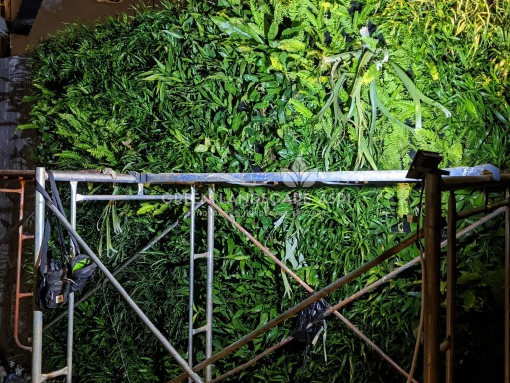 Harga Pasang Taman Vertikal