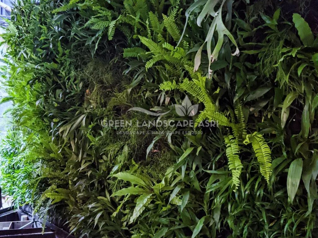 Harga Pasang Taman Vertikal