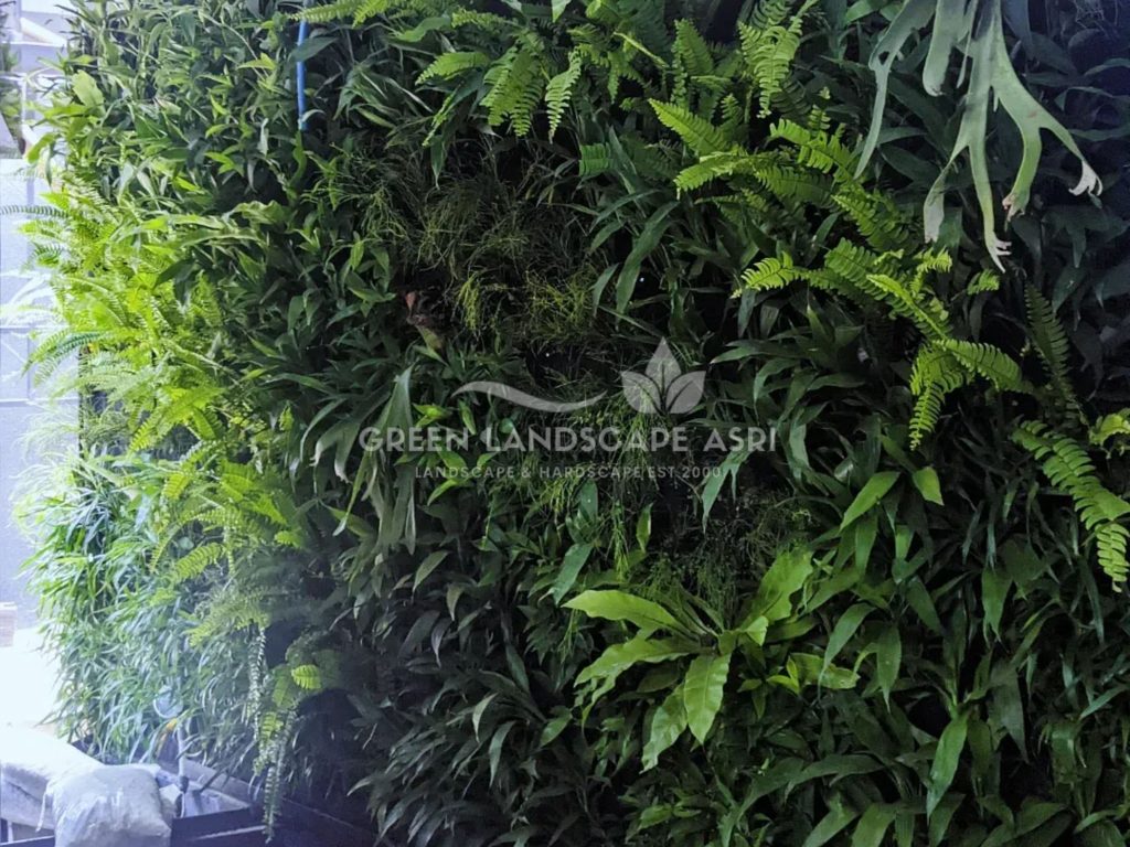 Harga Pasang Taman Vertikal