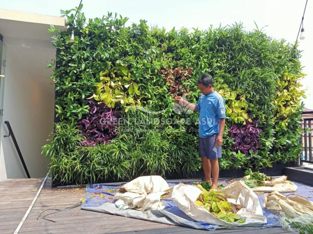 Harga Pasang Taman Vertikal