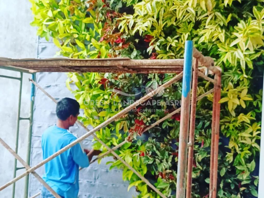Harga Pasang Taman Vertikal