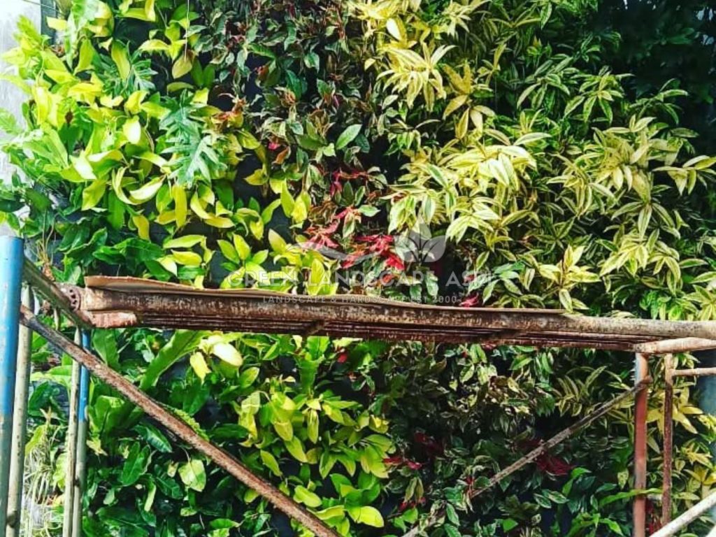 Harga Pasang Taman Vertikal