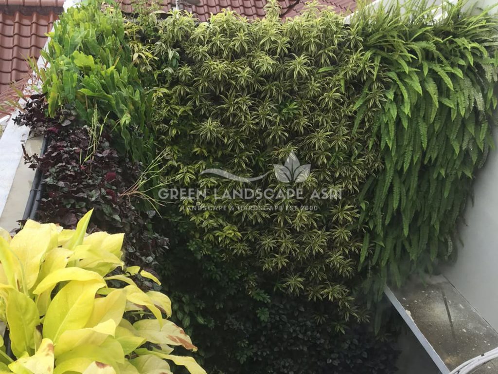 Jasa Pasang Taman Vertikal