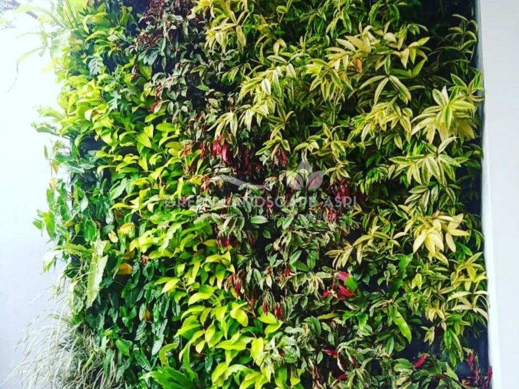 Harga Pasang Taman Vertikal