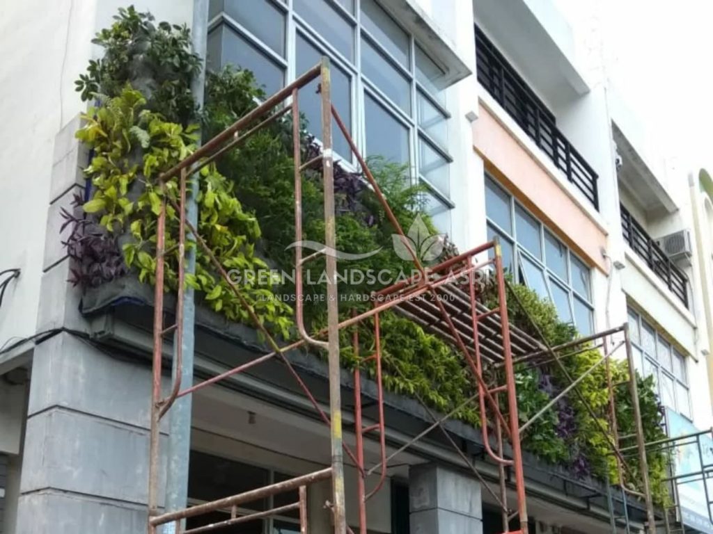 Harga Pasang Taman Vertikal