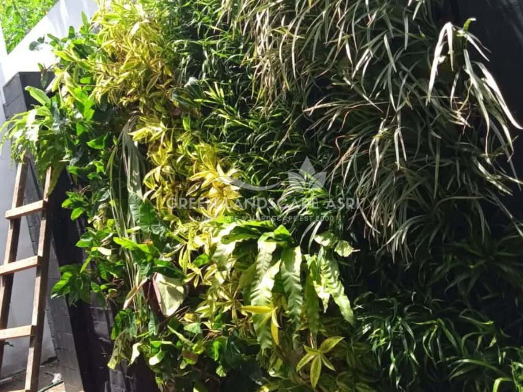Harga Pasang Taman Vertikal