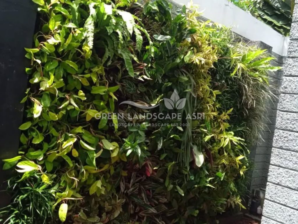 Harga Pasang Taman Vertikal