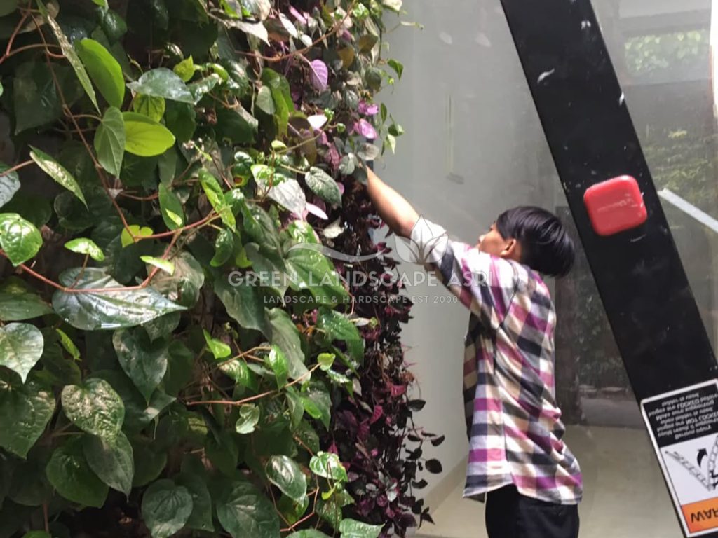 Jasa Pasang Taman Vertikal