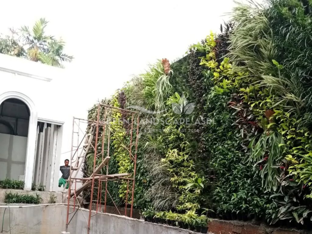 Jasa Bikin Vertical Garden Asli & Sintetis