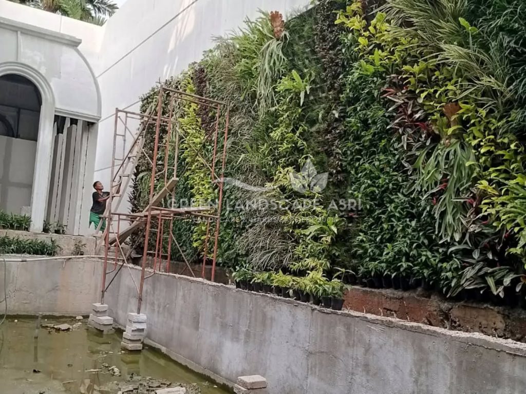Jasa Bikin Vertical Garden Asli & Sintetis