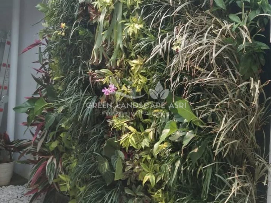 Jasa Bikin Vertical Garden Asli & Sintetis