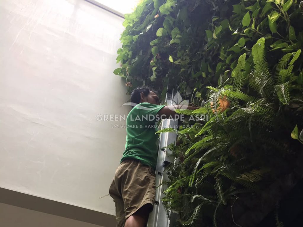 Jasa Pasang Taman Vertikal
