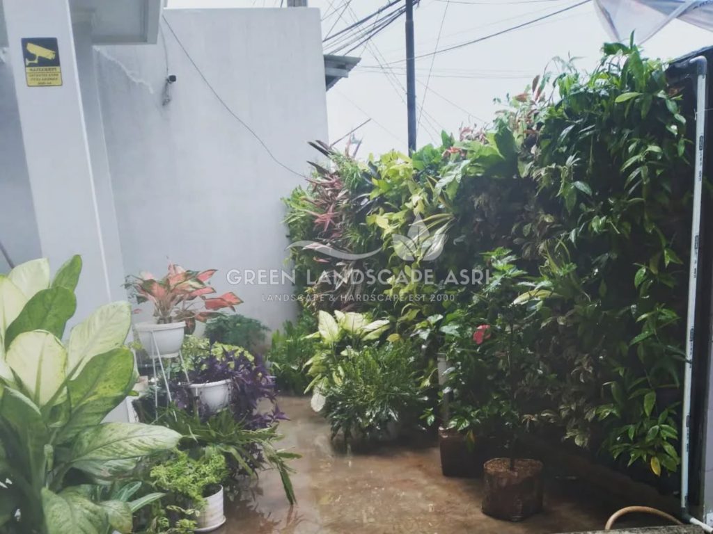 Jasa Bikin Vertical Garden Asli & Sintetis