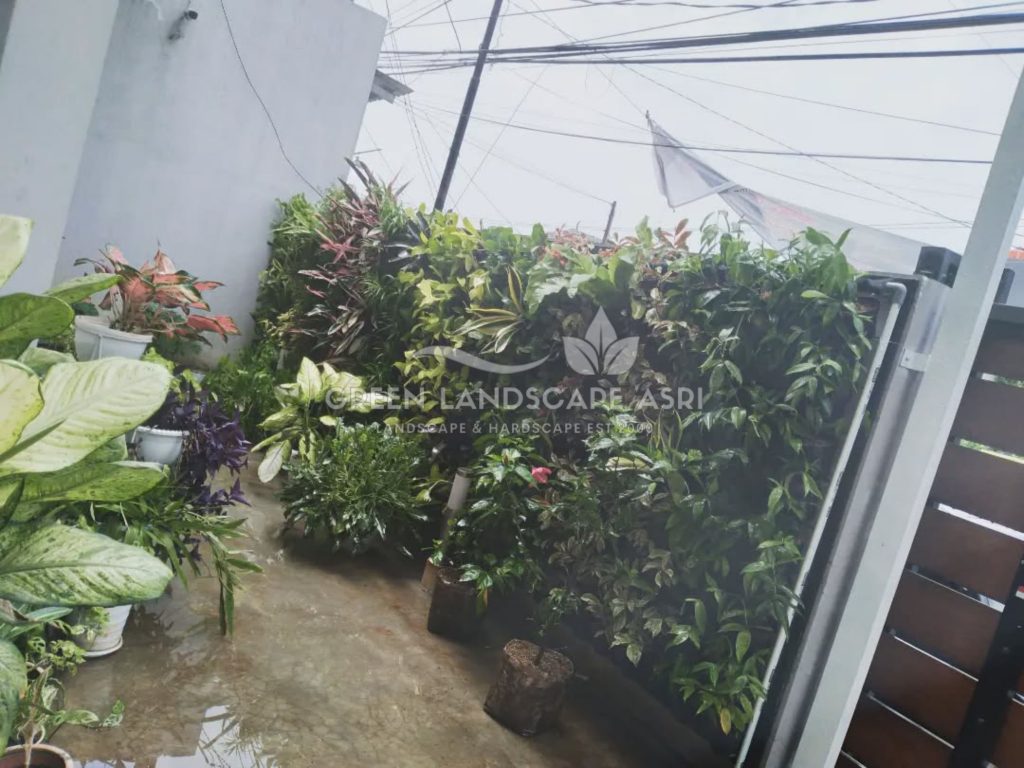Jasa Bikin Vertical Garden Asli & Sintetis