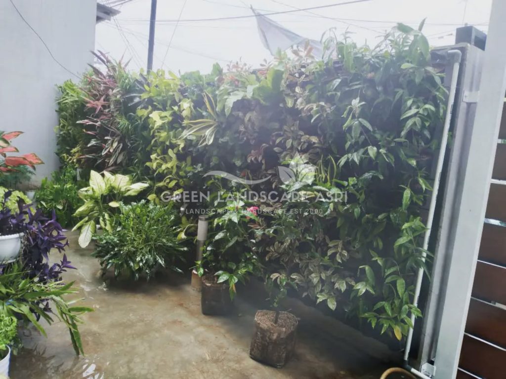 Jasa Bikin Vertical Garden Asli & Sintetis