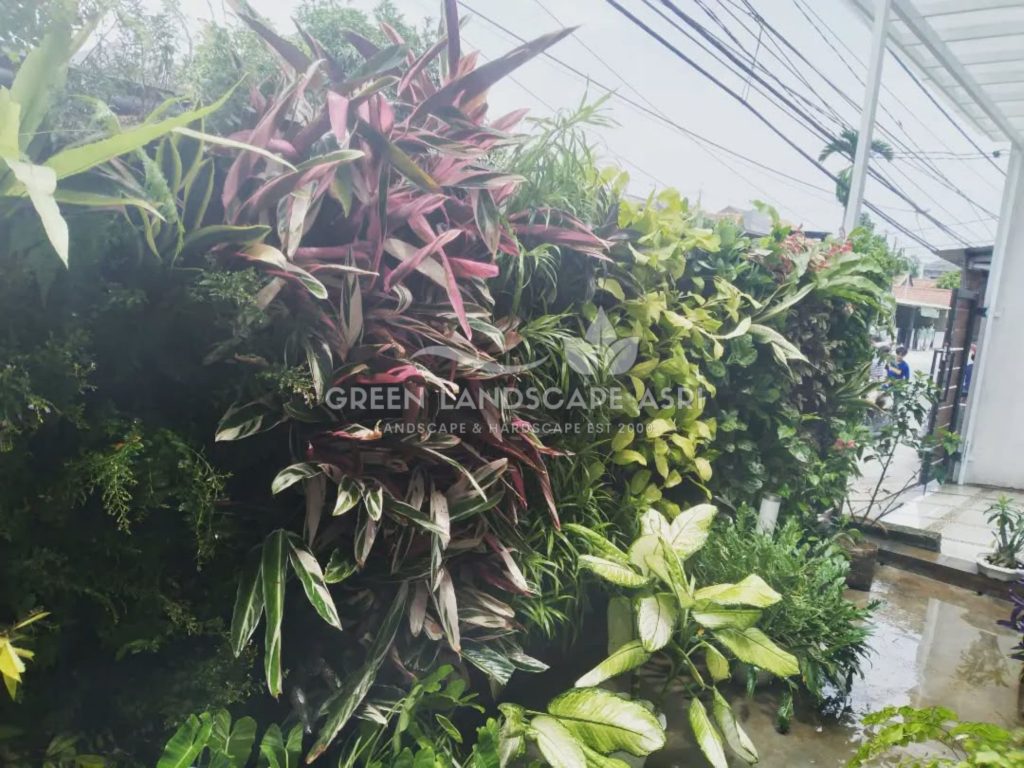 Jasa Bikin Vertical Garden Asli & Sintetis