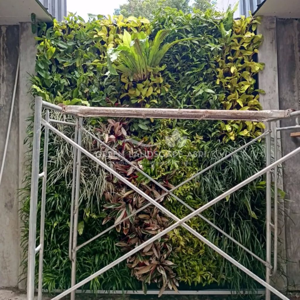 Jasa Bikin Vertical Garden Asli & Sintetis