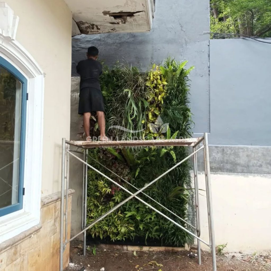 Jasa Bikin Vertical Garden Asli & Sintetis