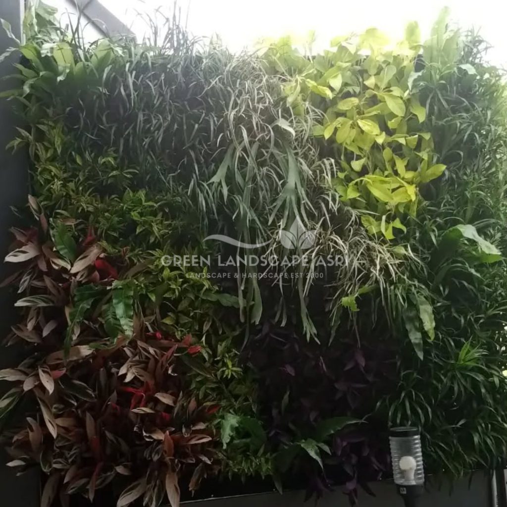 Jasa Bikin Vertical Garden Asli & Sintetis