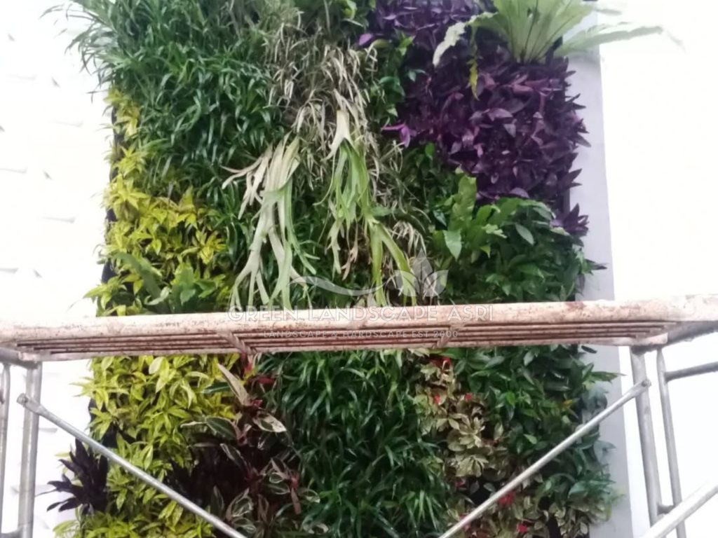 Jasa Bikin Vertical Garden Asli & Sintetis