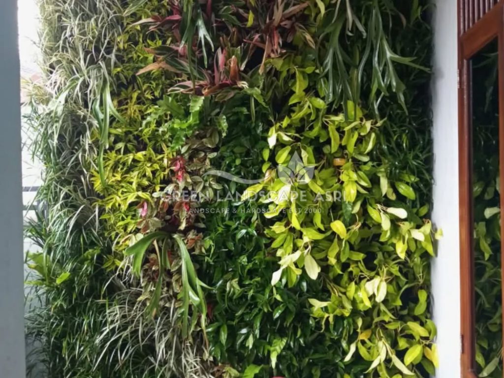 Jasa Bikin Vertical Garden Asli & Sintetis