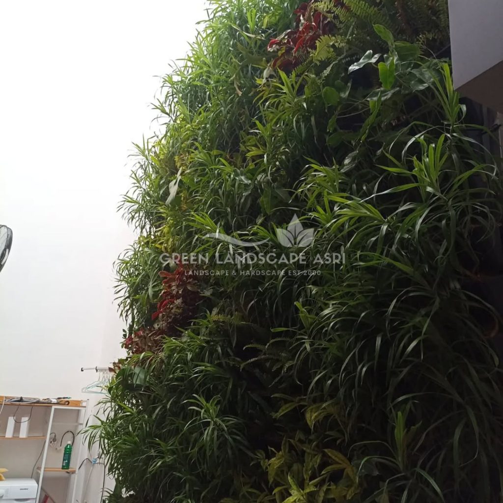 Jasa Pembuatan Vertical Garden