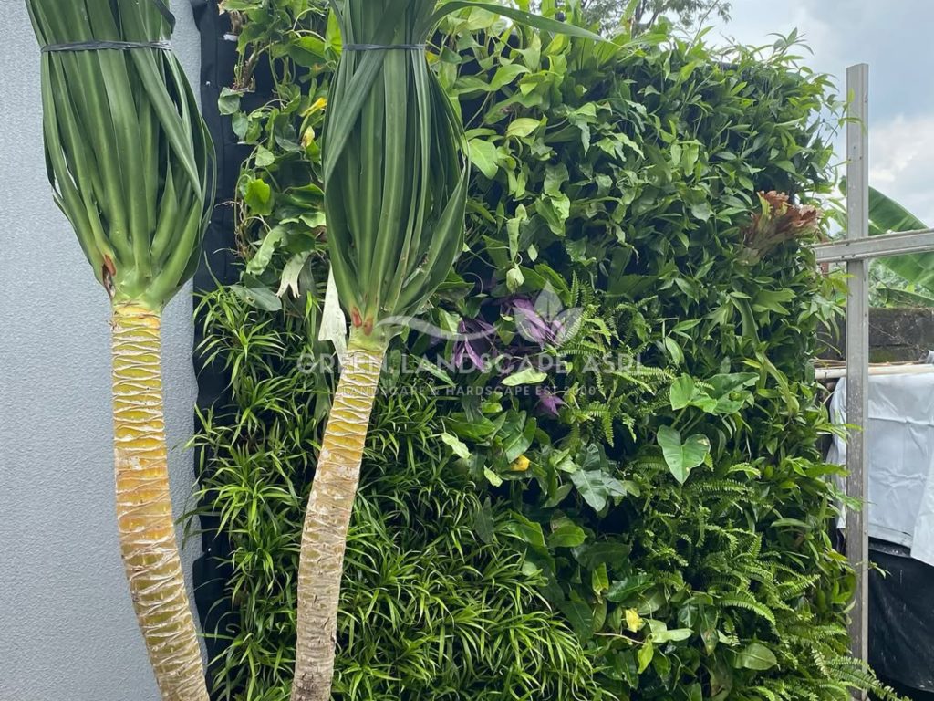 Jasa Pembuatan Vertical Garden