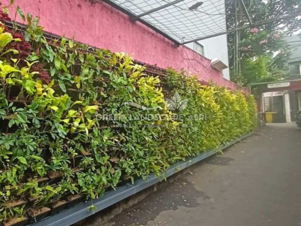 Jasa Pembuatan Vertical Garden