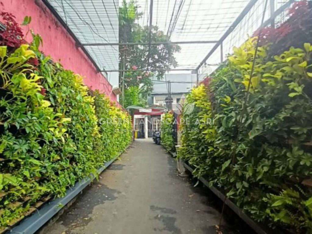Jasa Pembuatan Vertical Garden