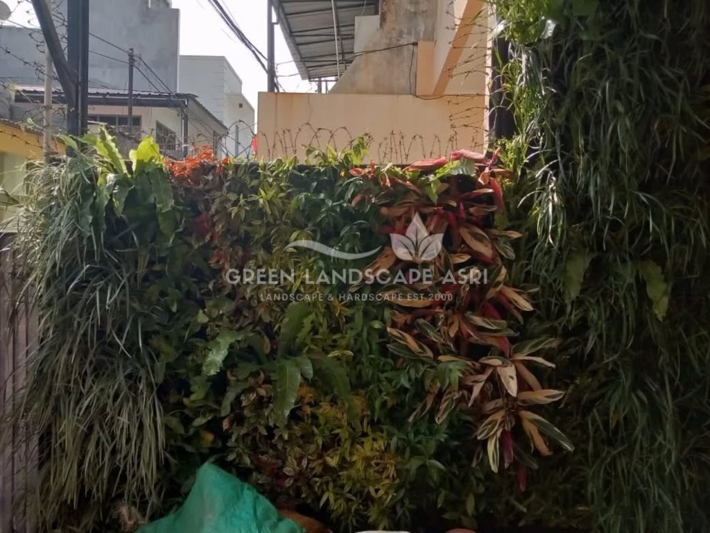 Jasa Pembuatan Vertical Garden