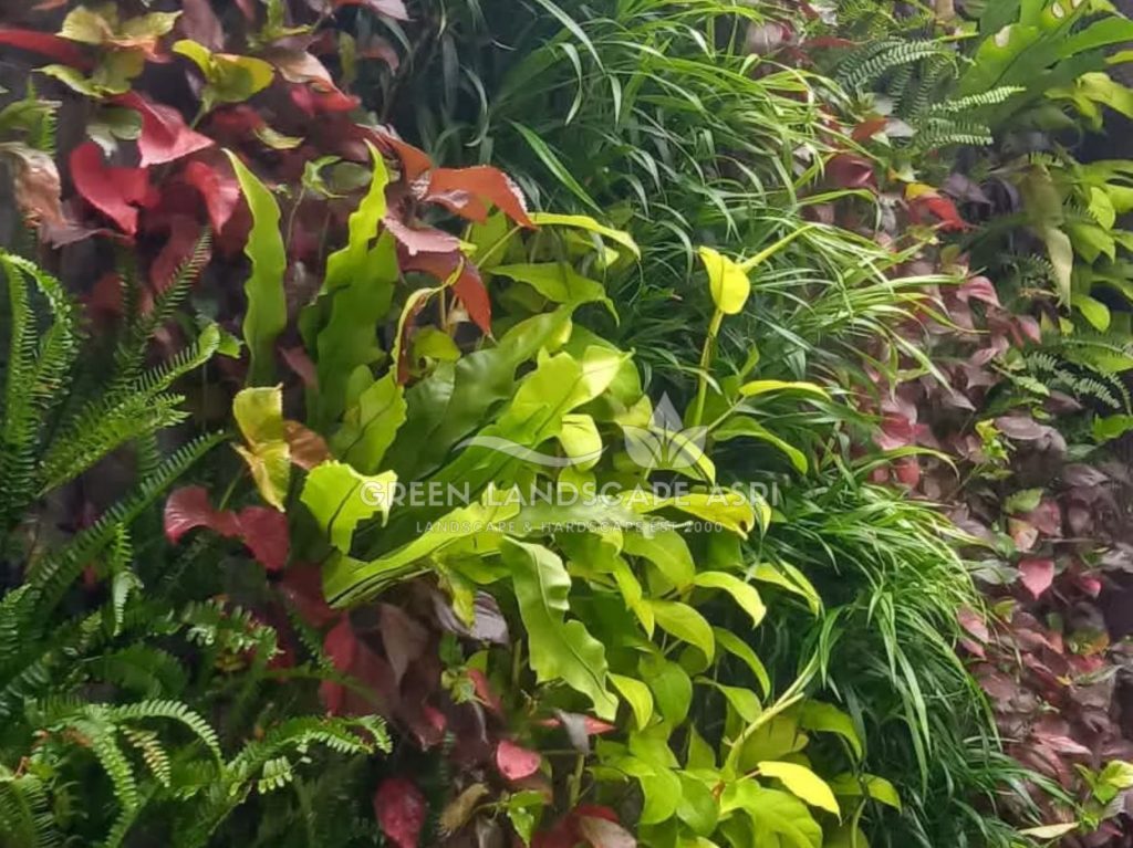 Jasa Pembuatan Vertical Garden