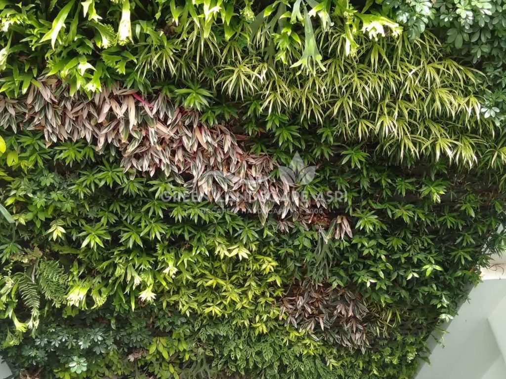 Jasa Pembuatan Vertical Garden