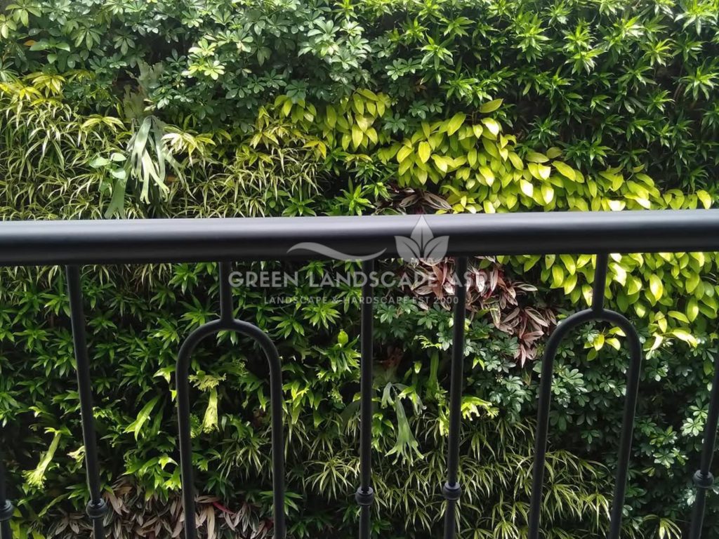 Jasa Pembuatan Vertical Garden