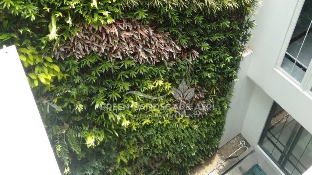 Jasa Pembuatan Vertical Garden