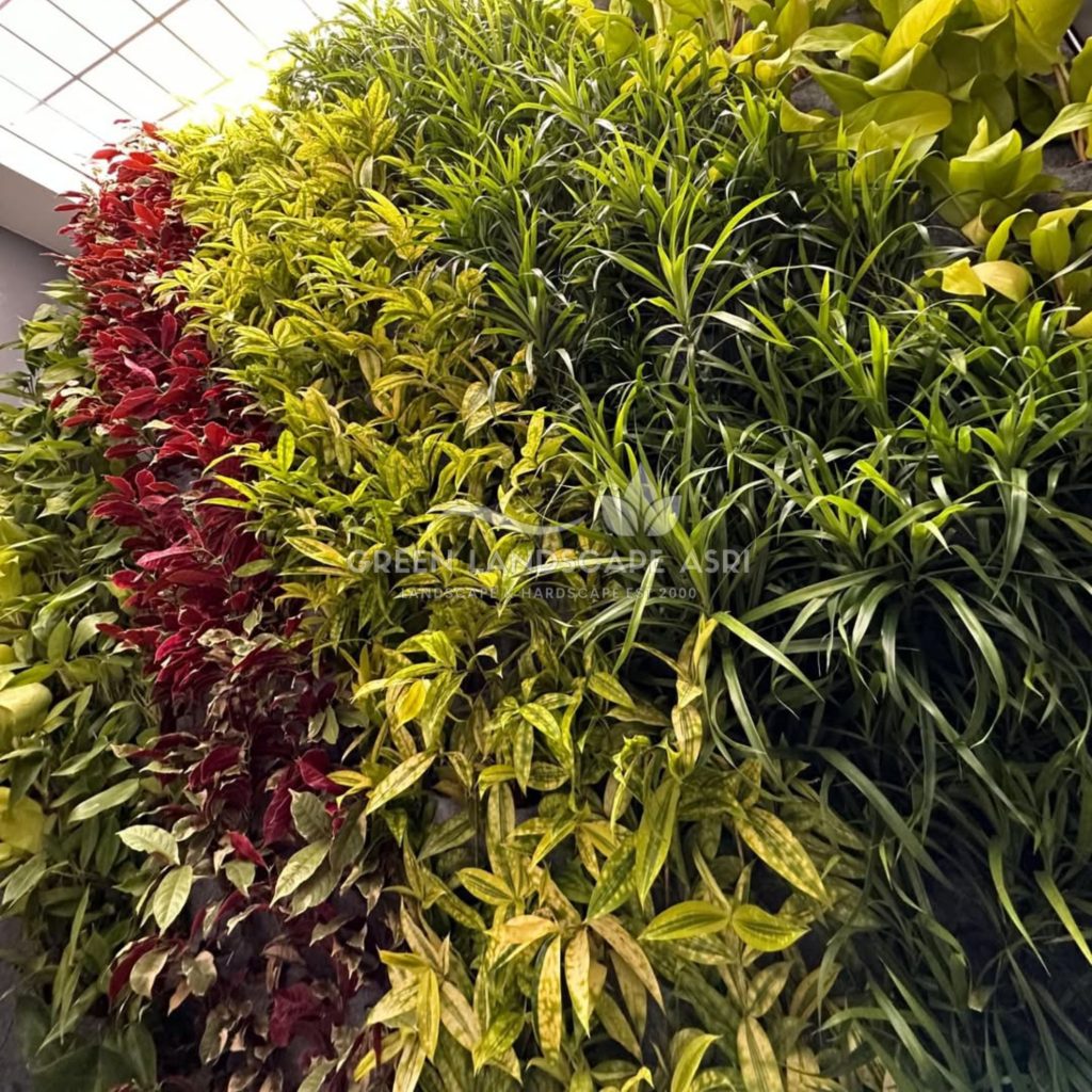 Jasa Pembuatan Vertical Garden