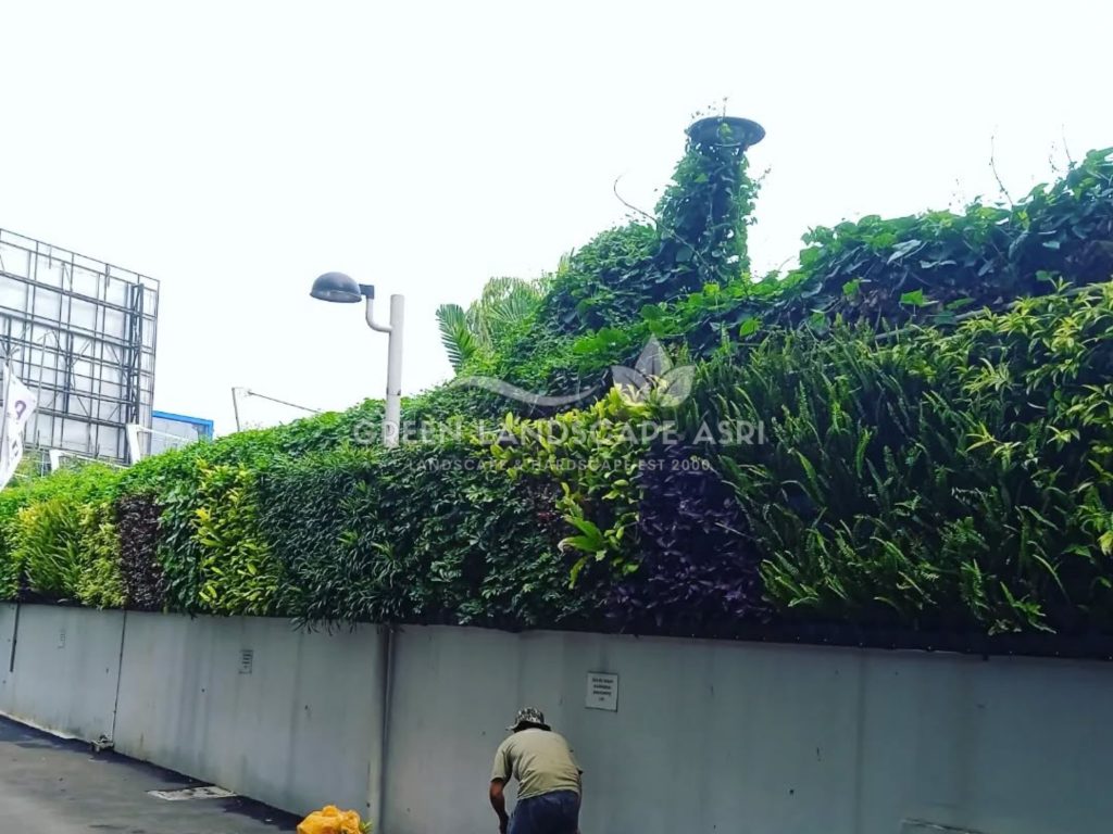 Jasa Pembuatan Vertical Garden