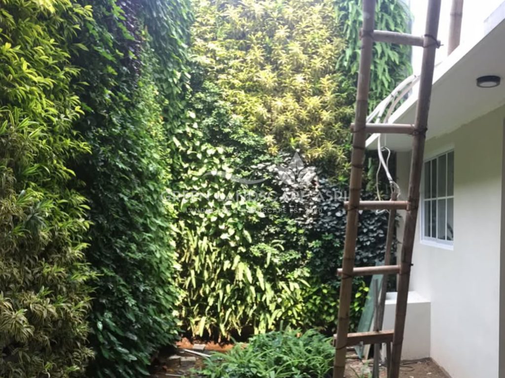 Jasa Pasang Taman Vertikal