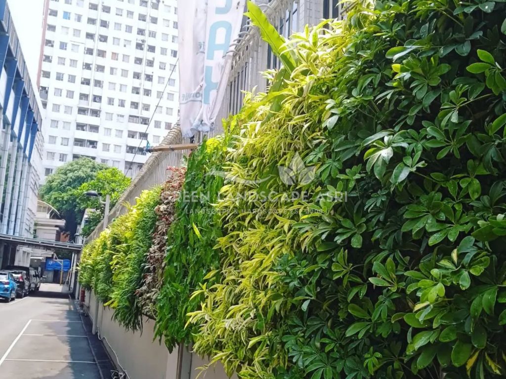 Jasa Pembuatan Vertical Garden