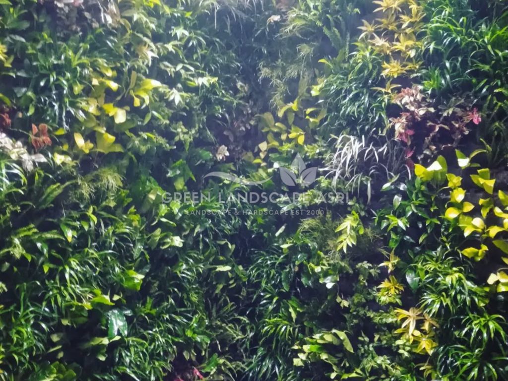 Jasa Pembuatan Vertical Garden