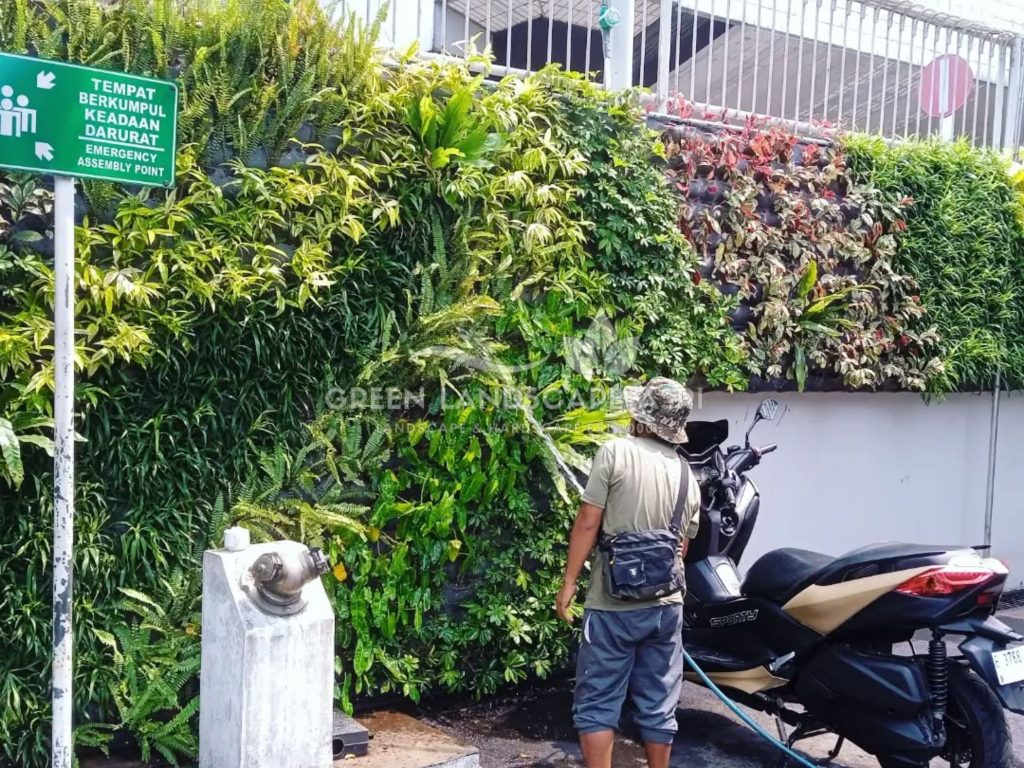 Jasa Pembuatan Vertical Garden