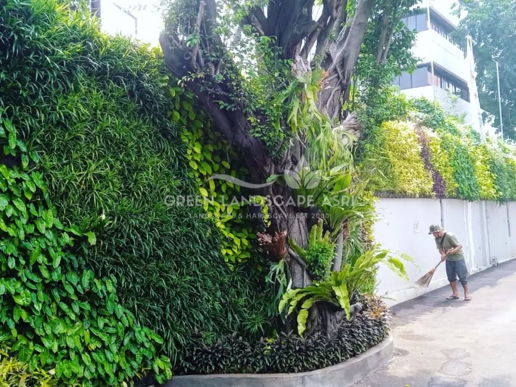Jasa Pembuatan Vertical Garden