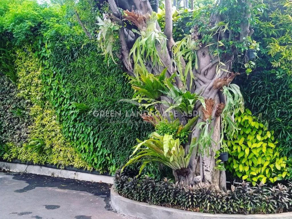 Jasa Pembuatan Vertical Garden