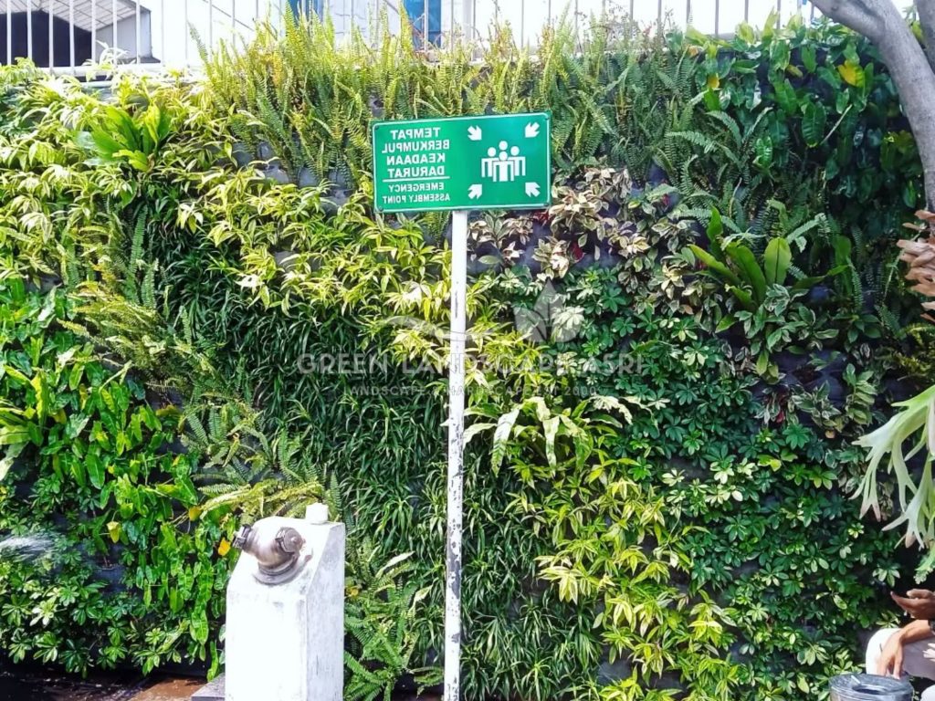 Jasa Pembuatan Vertical Garden