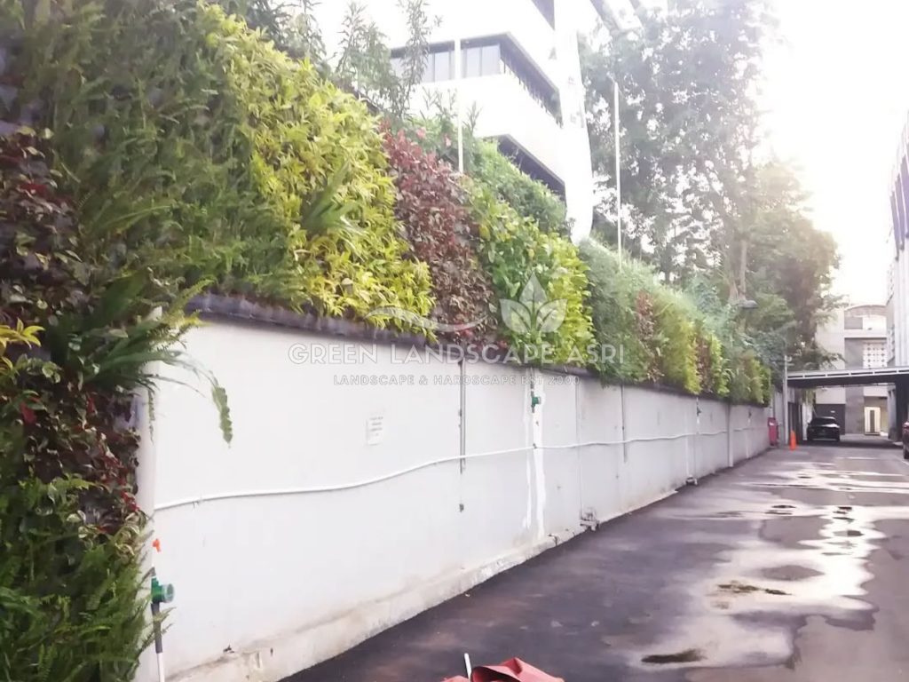 Jasa Pembuatan Vertical Garden