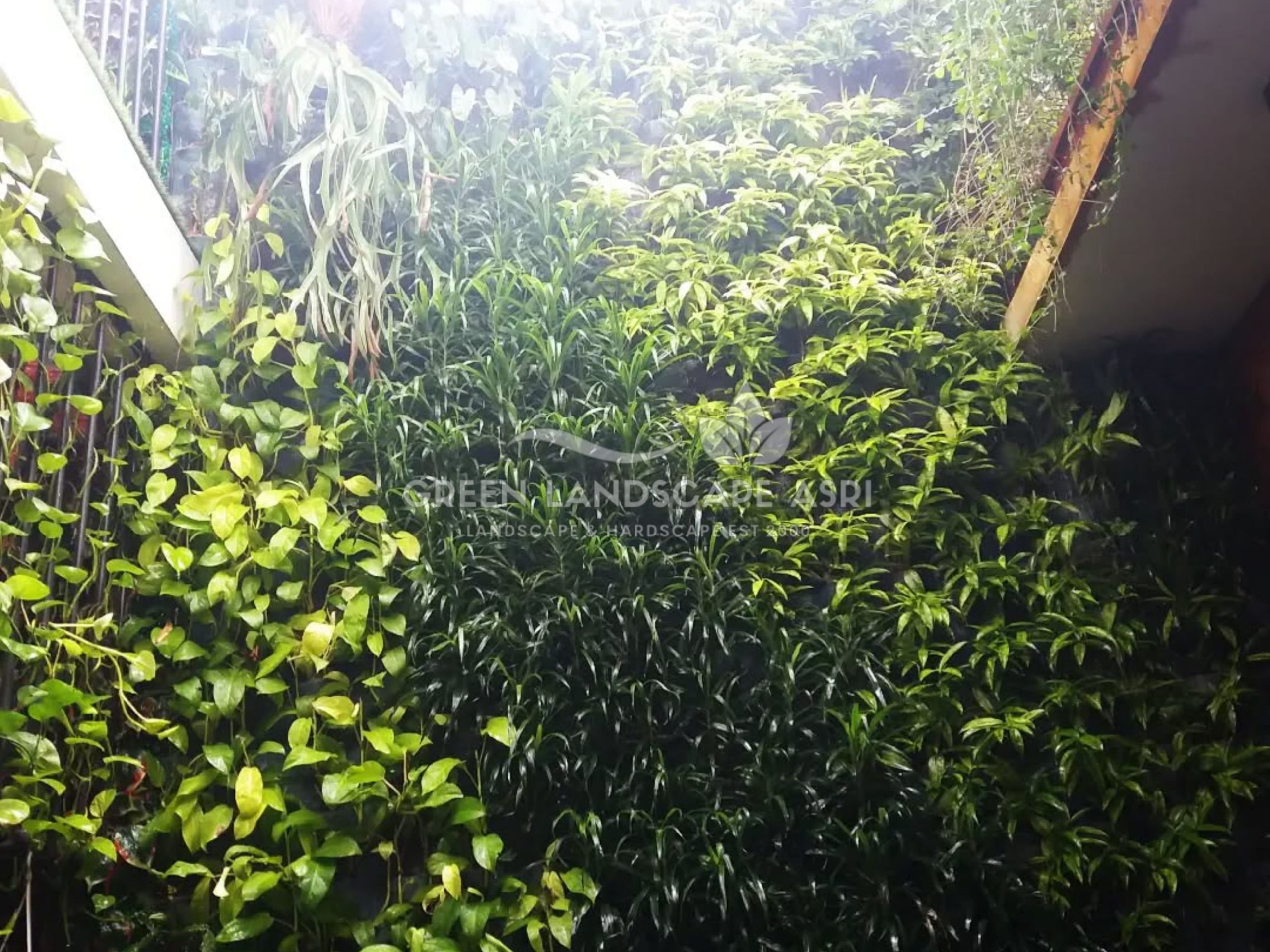 Jasa Pembuatan Vertical Garden