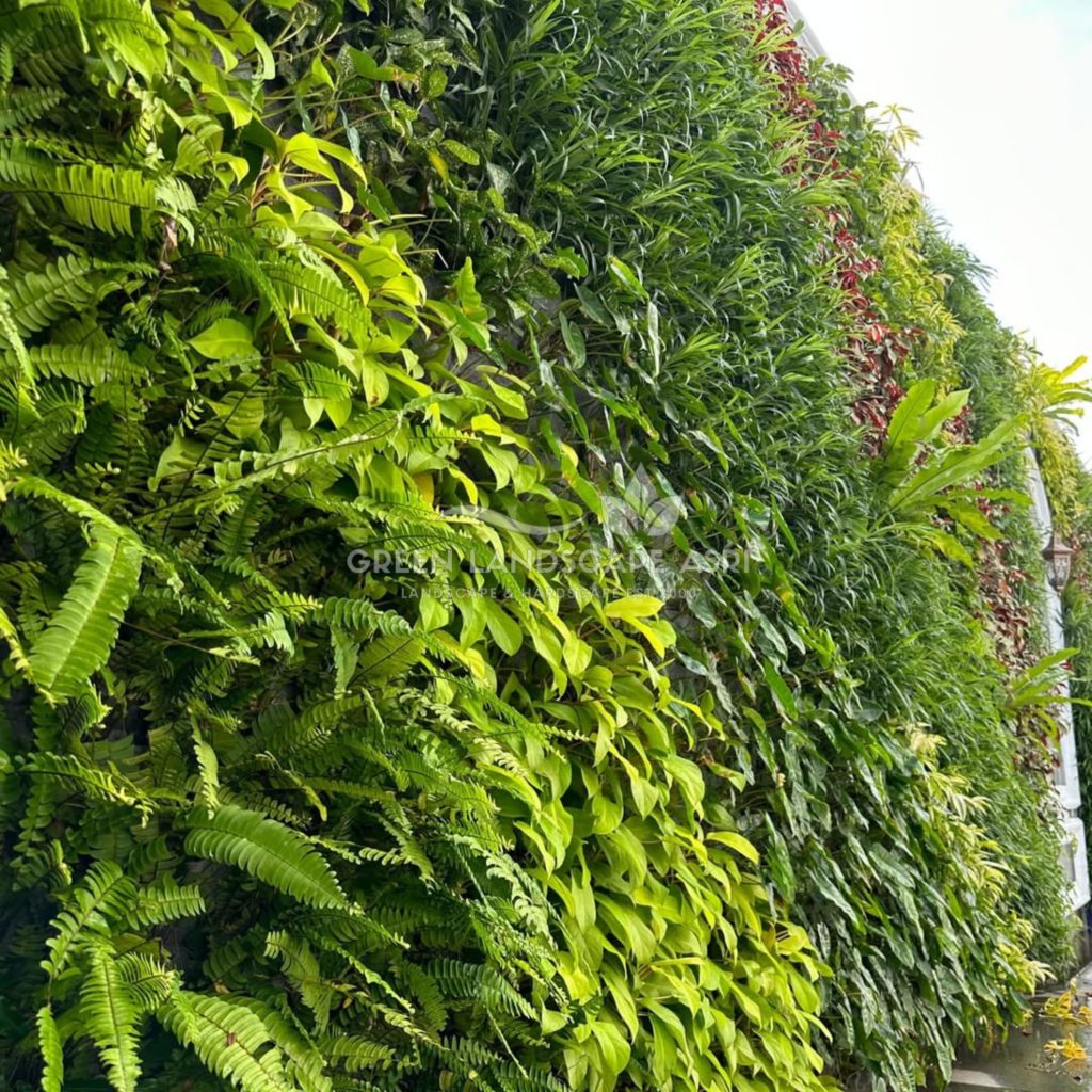 Jasa Pembuatan Vertical Garden