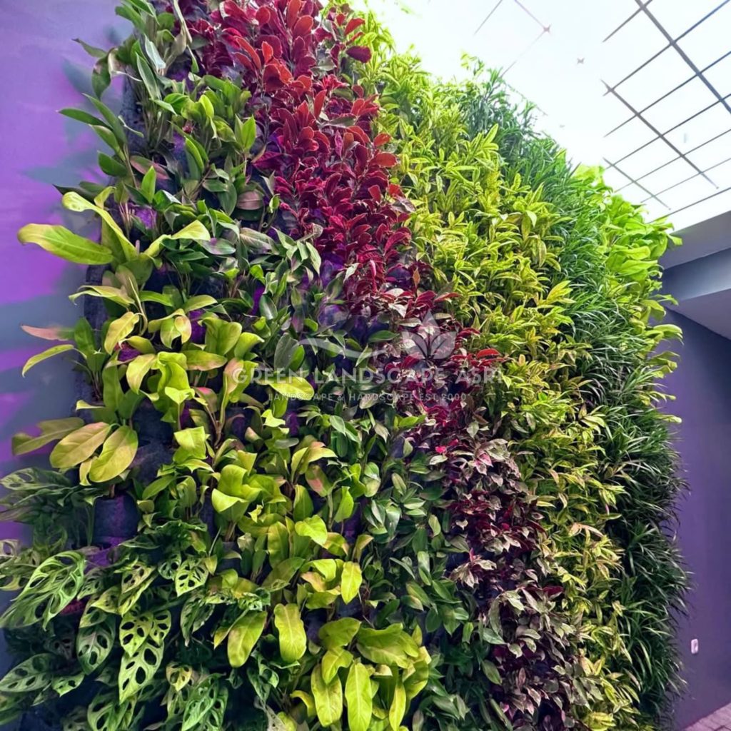 Jasa Pembuatan Vertical Garden