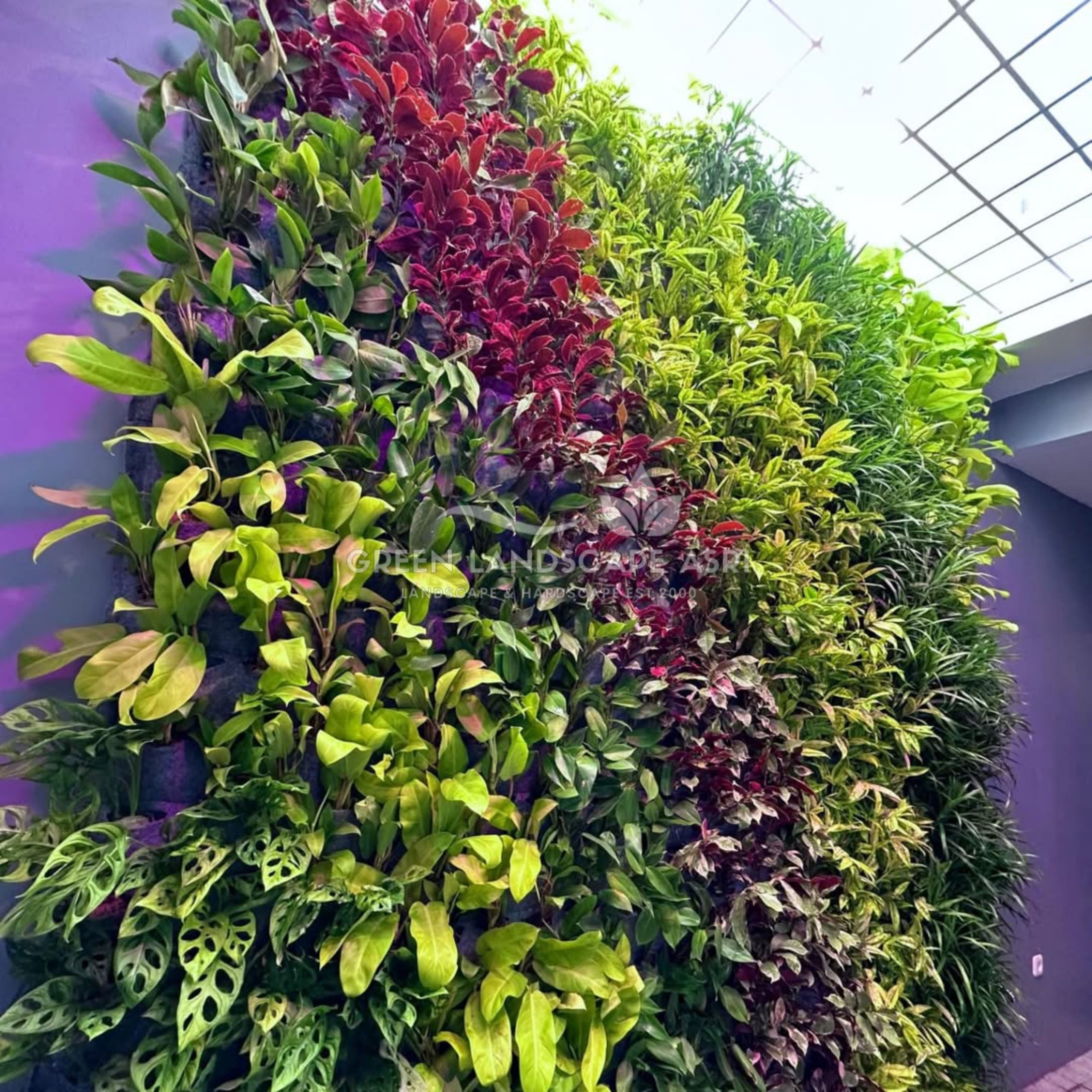 Jasa Pembuatan Vertical Garden